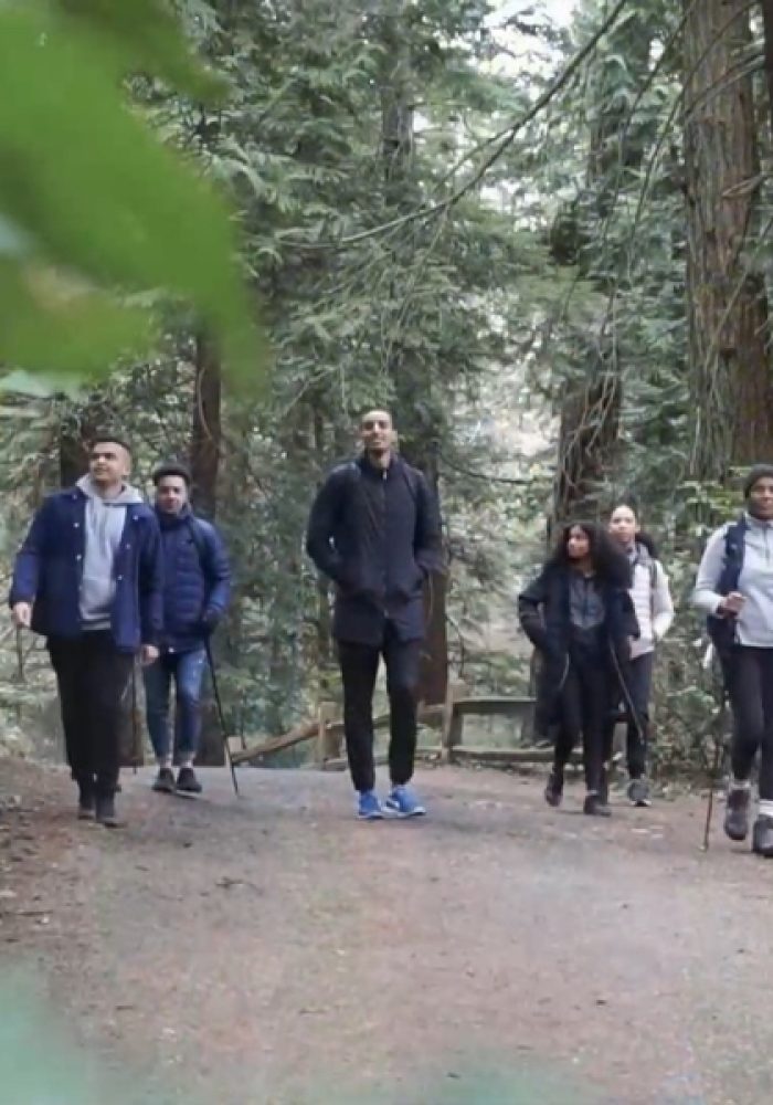 Rejuvenation Retreat Image